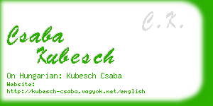 csaba kubesch business card